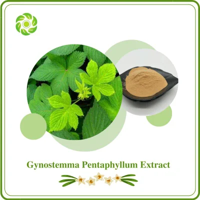 Wwbb-Plant Extract Supplier, Gypenoside 10%, 50%, 80%, 98%, ISO&FDA&Halal Certificate, Gynostemma Pentaphyllum (Thunb) Makino, Gynostemma Pentaphyllum Extract