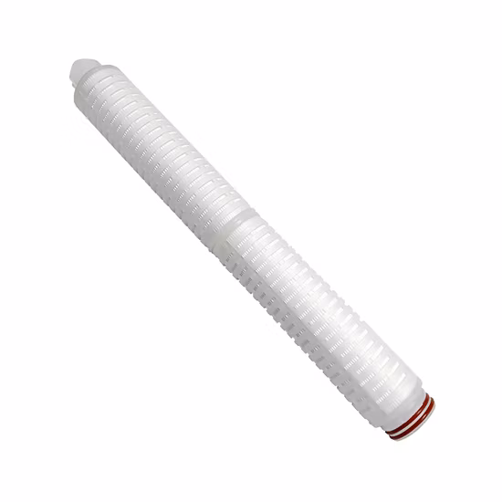 10inch Micro Pleated PVDF Filter Cartridge for Water Treatment